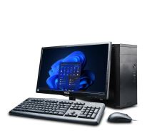 Premio Professional A450 (AM4-4G)