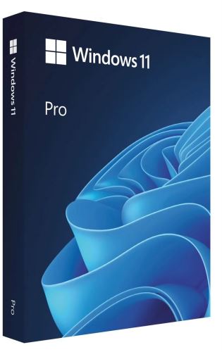 Win Pro FPP 11 64-bit CZ USB