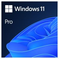 OEM Windows 11 Pro 64Bit Eng 1pk DVD (9)
